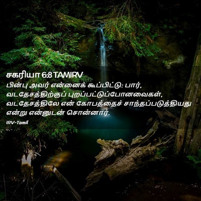 Picture 02 - சகரியா 6:8 TAMIRV - பின்பு அவர் - Bible Verse Picture