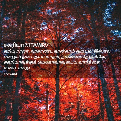 Picture 02 - சகரியா 7:1 TAMIRV - தரியு ராஜா - Bible Verse Picture