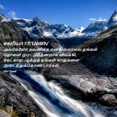 Picture 02 - சகரியா 7:11 TAMIRV - அவர்களோ கவனிக்க - Bible Verse Picture
