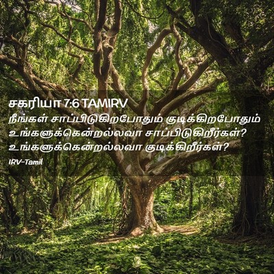 Picture 02 - சகரியா 7:6 TAMIRV - நீங்கள் - Bible Verse Picture