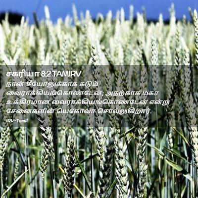 Picture 02 - சகரியா 8:2 TAMIRV - நான் சீயோனுக்காக - Bible Verse Picture