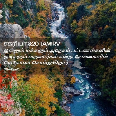 Picture 02 - சகரியா 8:20 TAMIRV - இன்னும் மக்களும் - Bible Verse Picture