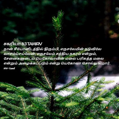 Picture 02 - சகரியா 8:3 TAMIRV - நான் - Bible Verse Picture