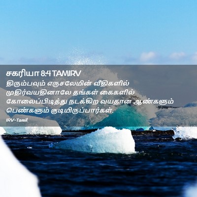 Picture 02 - சகரியா 8:4 TAMIRV - திரும்பவும் - Bible Verse Picture