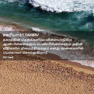 Picture 02 - சகரியா 8:5 TAMIRV - நகரத்தின் - Bible Verse Picture