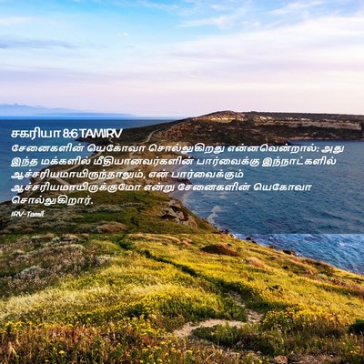 Picture 02 - சகரியா 8:6 TAMIRV - சேனைகளின் யெகோவா - Bible Verse Picture