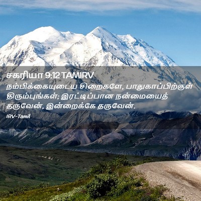 Picture 02 - சகரியா 9:12 TAMIRV - நம்பிக்கையுடைய - Bible Verse Picture