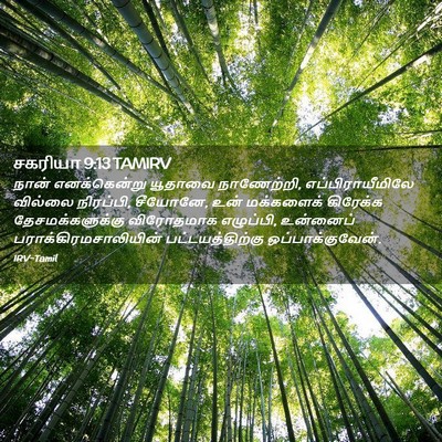 Picture 02 - சகரியா 9:13 TAMIRV - நான் எனக்கென்று - Bible Verse Picture