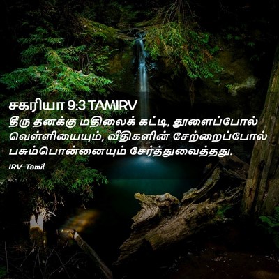 Picture 02 - சகரியா 9:3 TAMIRV - தீரு தனக்கு - Bible Verse Picture