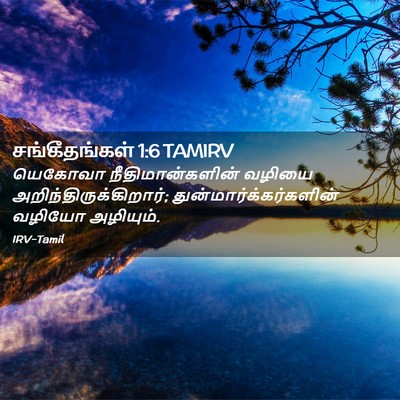 Picture 02 - சங்கீதங்கள் 1:6 TAMIRV - யெகோவா - Bible Verse Picture