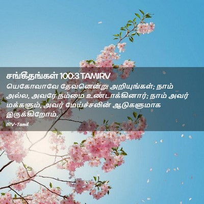 Picture 02 - சங்கீதங்கள் 100:3 TAMIRV - யெகோவாவே - Bible Verse Picture