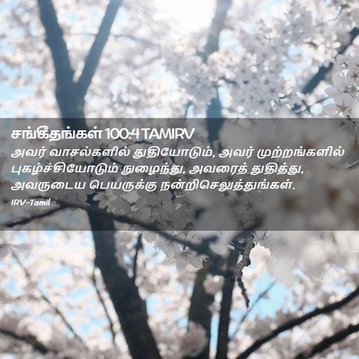 Picture 02 - சங்கீதங்கள் 100:4 TAMIRV - அவர் வாசல்களில் - Bible Verse Picture