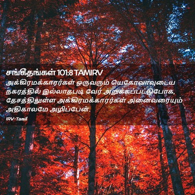 Picture 02 - சங்கீதங்கள் 101:8 TAMIRV -  - Bible Verse Picture