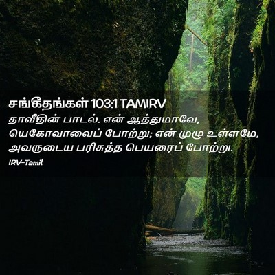 Picture 02 - சங்கீதங்கள் 103:1 TAMIRV - தாவீதின் பாடல். - Bible Verse Picture