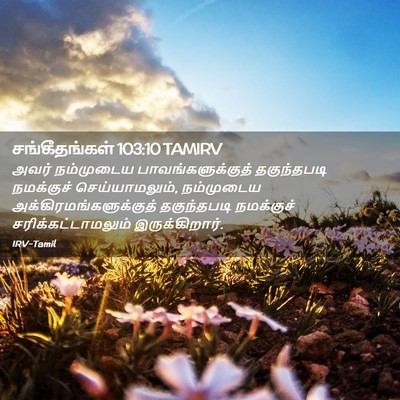 Picture 02 - சங்கீதங்கள் 103:10 TAMIRV - அவர் நம்முடைய - Bible Verse Picture