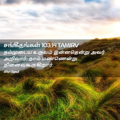 Picture 02 - சங்கீதங்கள் 103:14 TAMIRV - நம்முடைய உருவம் - Bible Verse Picture