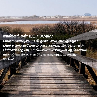 Picture 02 - சங்கீதங்கள் 103:17 TAMIRV - யெகோவாவுடைய - Bible Verse Picture