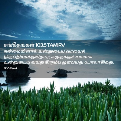 Picture 02 - சங்கீதங்கள் 103:5 TAMIRV - நன்மையினால் - Bible Verse Picture