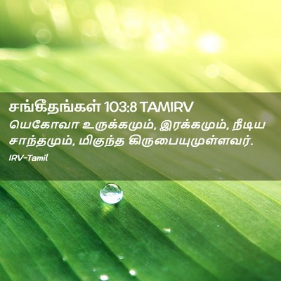 Picture 02 - சங்கீதங்கள் 103:8 TAMIRV - யெகோவா - Bible Verse Picture