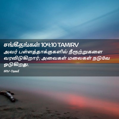 Picture 02 - சங்கீதங்கள் 104:10 TAMIRV - அவர் - Bible Verse Picture