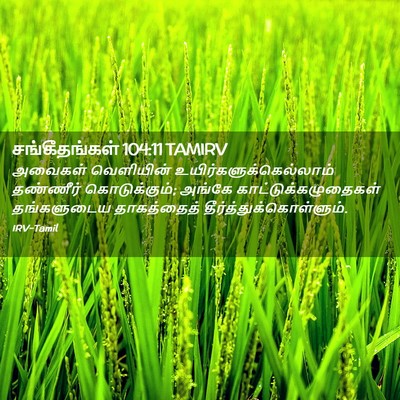 Picture 02 - சங்கீதங்கள் 104:11 TAMIRV - அவைகள் வெளியின் - Bible Verse Picture