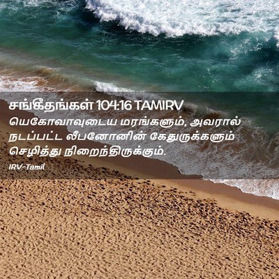 Picture 02 - சங்கீதங்கள் 104:16 TAMIRV - யெகோவாவுடைய - Bible Verse Picture