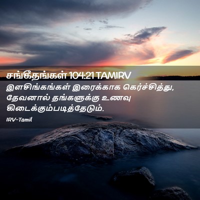 Picture 02 - சங்கீதங்கள் 104:21 TAMIRV - இளசிங்கங்கள் - Bible Verse Picture