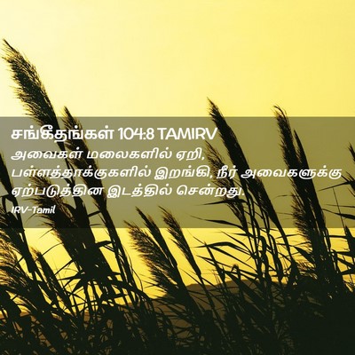 Picture 02 - சங்கீதங்கள் 104:8 TAMIRV - அவைகள் மலைகளில் - Bible Verse Picture