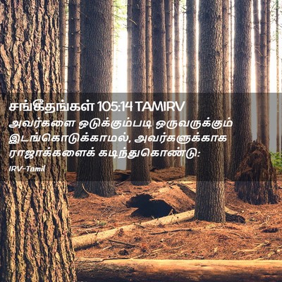 Picture 02 - சங்கீதங்கள் 105:14 TAMIRV - அவர்களை - Bible Verse Picture