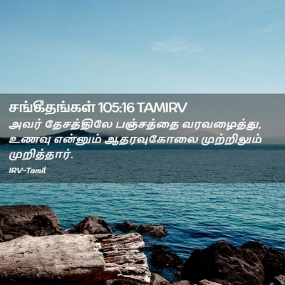 Picture 02 - சங்கீதங்கள் 105:16 TAMIRV - அவர் தேசத்திலே - Bible Verse Picture