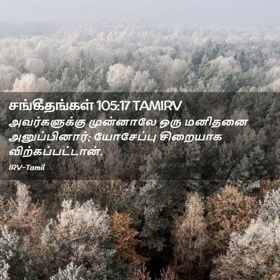 Picture 02 - சங்கீதங்கள் 105:17 TAMIRV - அவர்களுக்கு - Bible Verse Picture