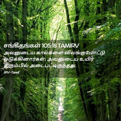 Picture 02 - சங்கீதங்கள் 105:18 TAMIRV - அவனுடைய கால்களை - Bible Verse Picture