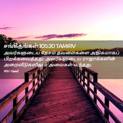 Picture 02 - சங்கீதங்கள் 105:30 TAMIRV - அவர்களுடைய தேசம் - Bible Verse Picture