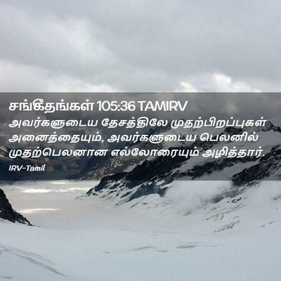 Picture 02 - சங்கீதங்கள் 105:36 TAMIRV - அவர்களுடைய - Bible Verse Picture