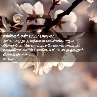 Picture 02 - சங்கீதங்கள் 105:37 TAMIRV - அப்பொழுது அவர்களை - Bible Verse Picture
