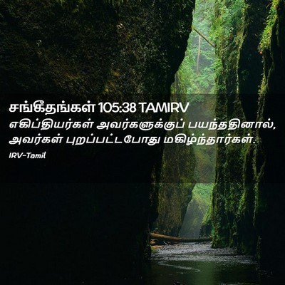 Picture 02 - சங்கீதங்கள் 105:38 TAMIRV - எகிப்தியர்கள் - Bible Verse Picture