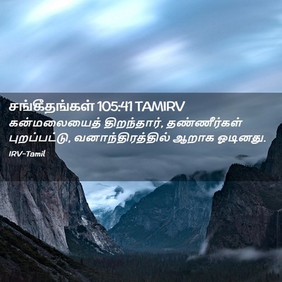 Picture 02 - சங்கீதங்கள் 105:41 TAMIRV - கன்மலையைத் - Bible Verse Picture