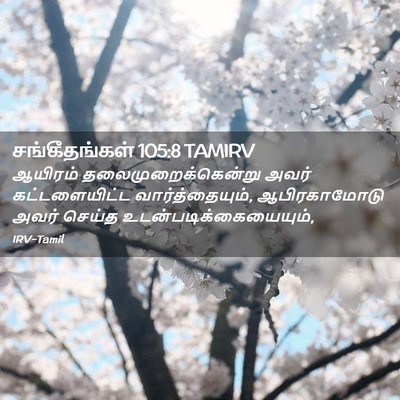 Picture 02 - சங்கீதங்கள் 105:8 TAMIRV - ஆயிரம் - Bible Verse Picture