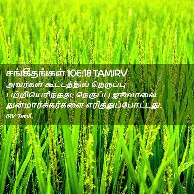 Picture 02 - சங்கீதங்கள் 106:18 TAMIRV - அவர்கள் - Bible Verse Picture