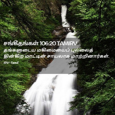 Picture 02 - சங்கீதங்கள் 106:20 TAMIRV - தங்களுடைய - Bible Verse Picture