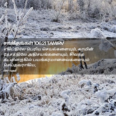 Picture 02 - சங்கீதங்கள் 106:21 TAMIRV - எகிப்திலே பெரிய - Bible Verse Picture