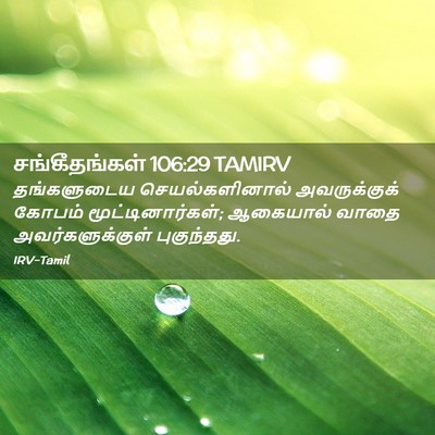 Picture 02 - சங்கீதங்கள் 106:29 TAMIRV - தங்களுடைய - Bible Verse Picture