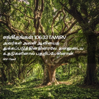 Picture 02 - சங்கீதங்கள் 106:33 TAMIRV - அவர்கள் அவன் - Bible Verse Picture