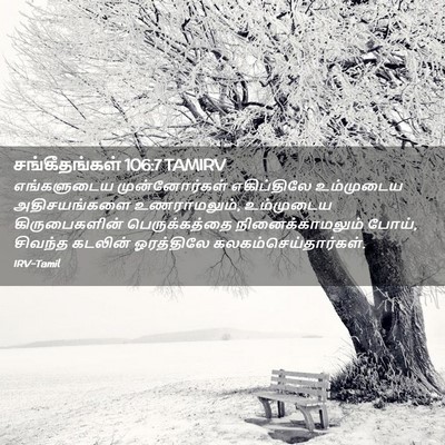 Picture 02 - சங்கீதங்கள் 106:7 TAMIRV - எங்களுடைய - Bible Verse Picture