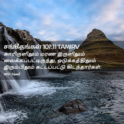 Picture 02 - சங்கீதங்கள் 107:11 TAMIRV - காரிருளிலும் மரண - Bible Verse Picture