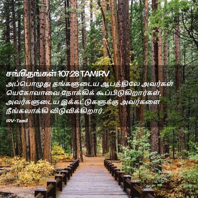 Picture 02 - சங்கீதங்கள் 107:28 TAMIRV - அப்பொழுது - Bible Verse Picture