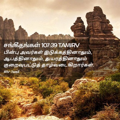Picture 02 - சங்கீதங்கள் 107:39 TAMIRV - பின்பு அவர்கள் - Bible Verse Picture
