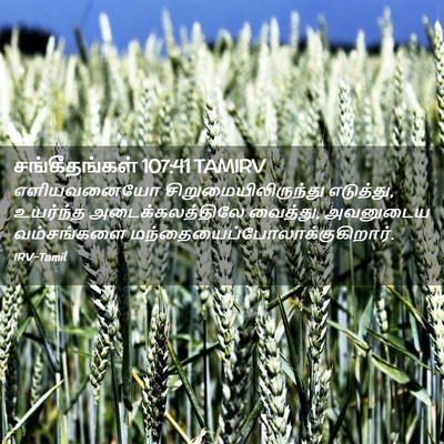 Picture 02 - சங்கீதங்கள் 107:41 TAMIRV - எளியவனையோ - Bible Verse Picture