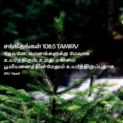 Picture 02 - சங்கீதங்கள் 108:5 TAMIRV - தேவனே, - Bible Verse Picture