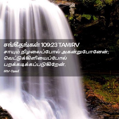 Picture 02 - சங்கீதங்கள் 109:23 TAMIRV - சாயும் - Bible Verse Picture